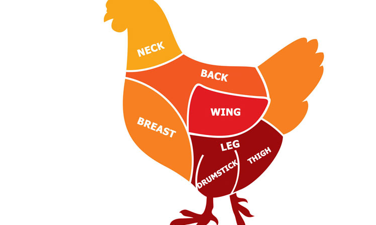 Learn the parts of a Chicken